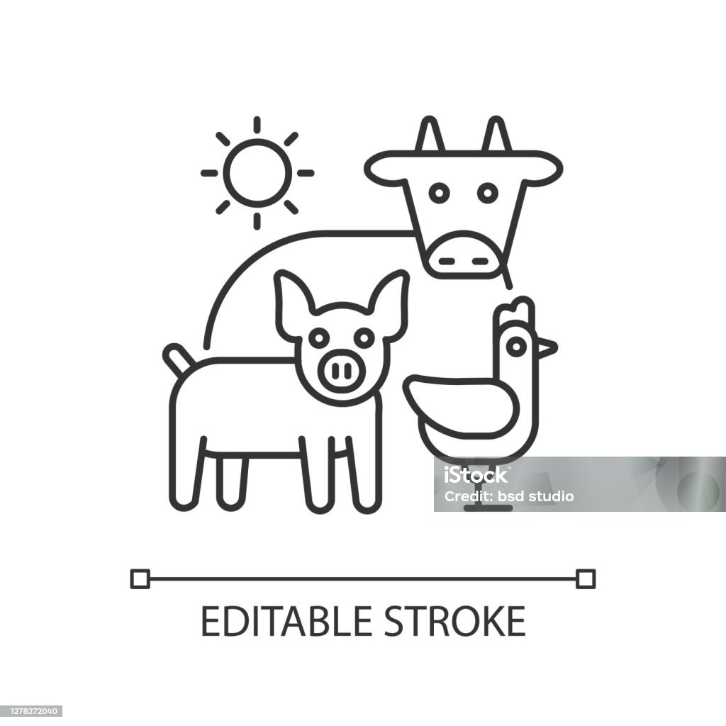 Animal Husbandry Linear Icon Stock Illustration - Download Image Now - Icon,  Domestic Cattle, Cow - iStock