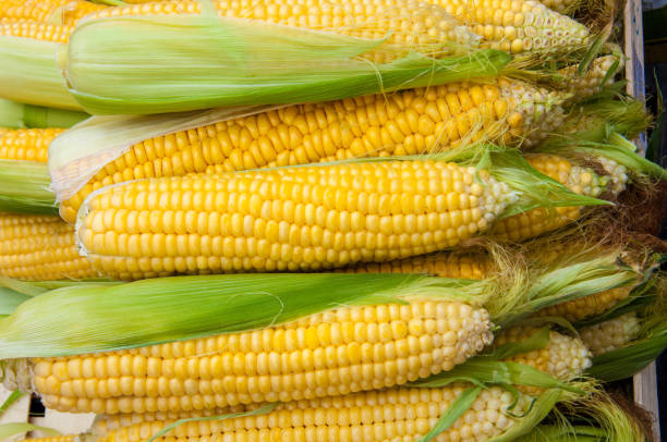 istock Corn is on sale at the Bazaar 1278272067