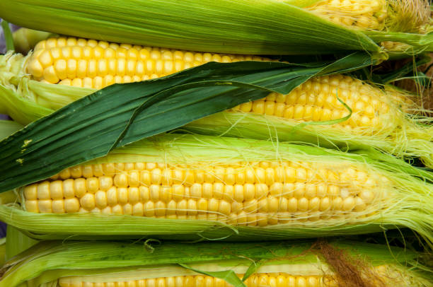 istock Corn is on sale at the Bazaar 1278272072
