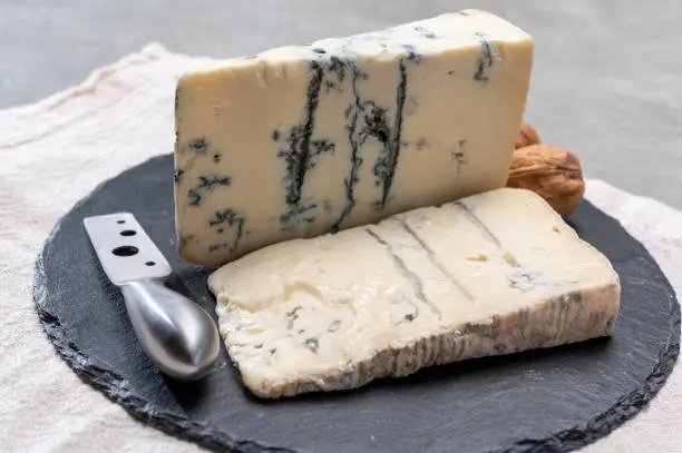 Italian food, buttery or firm blue cheese made from cow milk in Gorgonzola, Milan, Italy close up