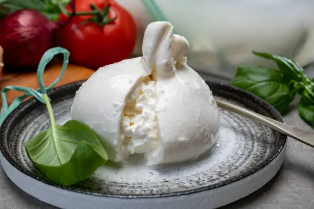 Eating of fresh handmade soft Italian cheese from Puglia, white balls of burrata or burratina cheese made from mozzarella and cream filling close up