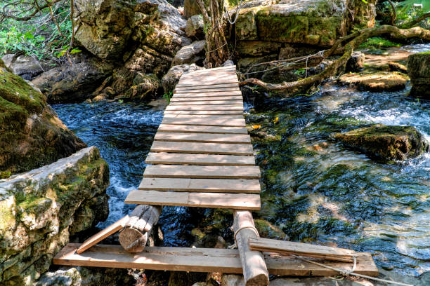 istock A small wooden bridge over a creek within a forest. 1278274066