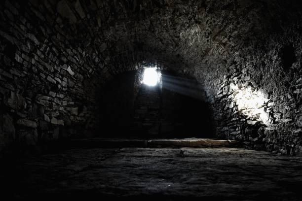 spaventoso sottoterra, vecchia cantina di pietra - basement spooky cellar door foto e immagini stock