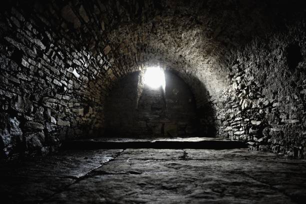 spaventoso sottoterra, vecchia cantina sassosa - basement spooky cellar door foto e immagini stock