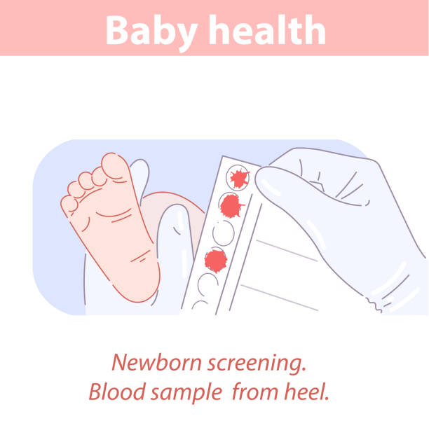 Blood test taken from heel of newborn baby. Blood taken from heel of newborn baby. First screening after birth. Newborn baby in maternity hospital. Medical tests and examination of child. Doctor hold baby foot. Vector illustration. newborn stock illustrations