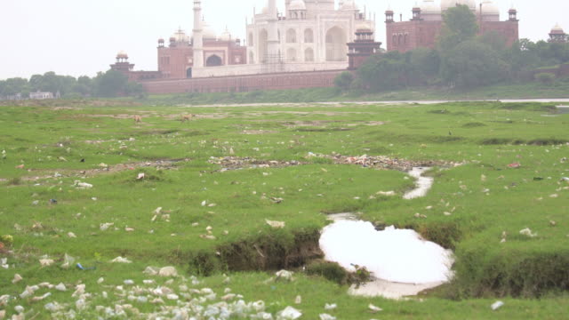 Taj Mahal and Yamuna River trashed with garbage