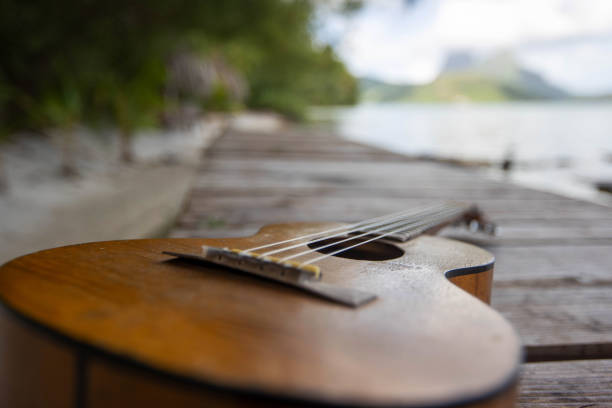 A wooden ukulele instrument on a tropical island