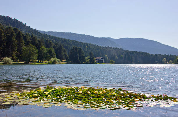 istock Golcuk Lake, Bolu ,Turkey 1278282433