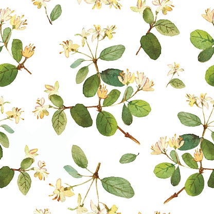 Decorative colorful flowers. Watercolor floral seamless pattern with beautiful forest plants: honeysuckle for wallpaper, prints design. Summer textile texture.