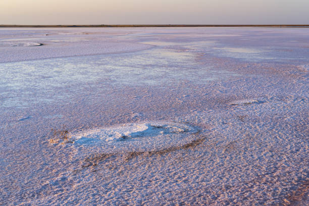 istock Sunset Genichesk pink  salty lake, Ukraine 1278287042