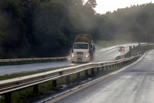 transport truck during rain on road BR 381 Fernao Dias Minas Gerais / Brazil - December 12, 2018: transport truck during rain on road BR 381 Fernao Dias truck in rain stock pictures, royalty-free photos & images