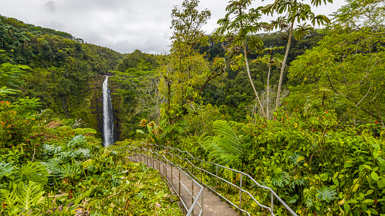 Akaka falls. Water drops from the cliff edge to the plunge pool below. Big island Hawaii.