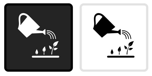 ilustrações de stock, clip art, desenhos animados e ícones de watering plants icon on  black button with white rollover - watering can