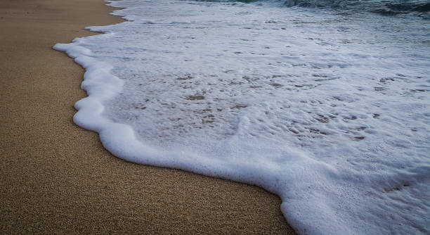 砂を抱きしめる - 18800 ストックフォトと画像