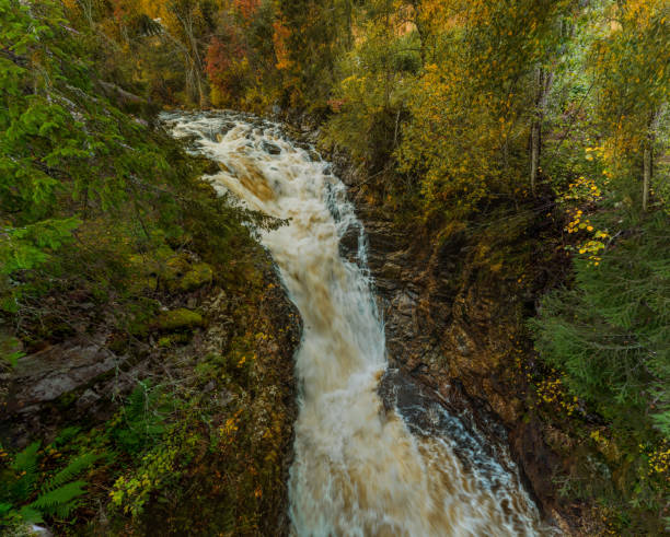 istock A mountain stream in the canyon, trees in autumn colors 1278292436