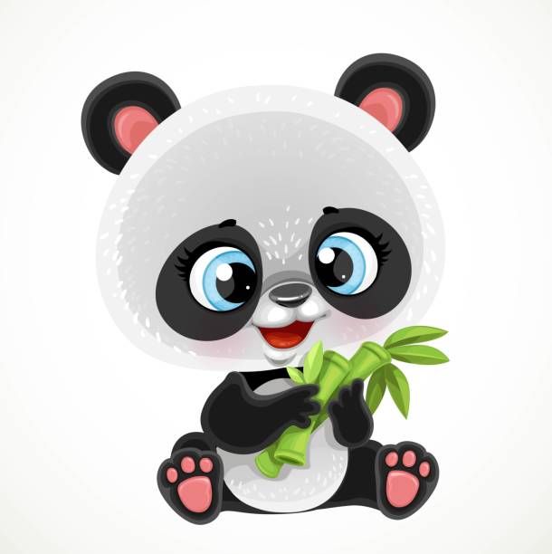 Cute cartoon baby panda bear eating bamboo isolated on a white background Cute cartoon baby panda bear eating bamboo isolated on a white background fat humor black expressing positivity stock illustrations