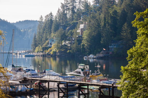 istock The village on the slope  in Deep Cove 1278296937