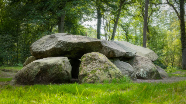 megalith d8 na floresta de drenthe - eternity spirituality landscape rock - fotografias e filmes do acervo