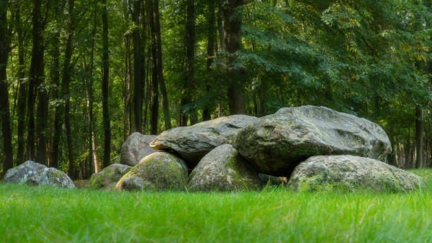 megalith d7 na floresta de drenthe - eternity spirituality landscape rock - fotografias e filmes do acervo