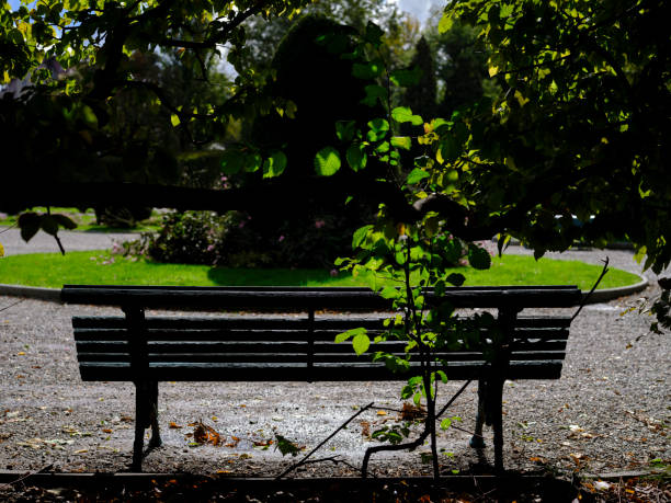 istock City Park in Varese 1278300309