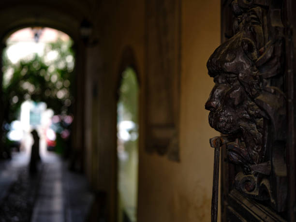 Old wood door with lion head