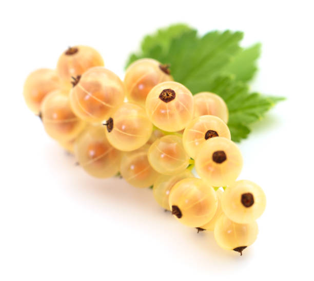 White currants with green leaves. stock photo