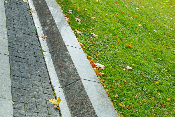 istock Bright yellow autumn leaves on the ground 1278311869