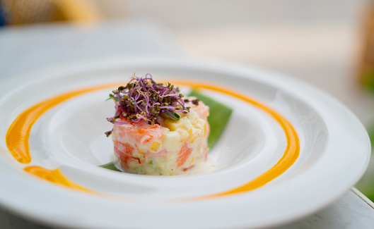 salmon tartare in white plate with green apple and herbs on white background outside the restaurant