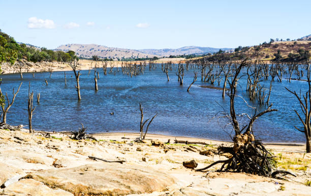 istock Hume Weir, New South Wales, Australia 1278314593