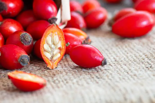 Photo of Fresh ripe rose hips in basket on burlap sack, raw briar berries or dog rose fruits with seed, healthy food concept ( rosa canina )