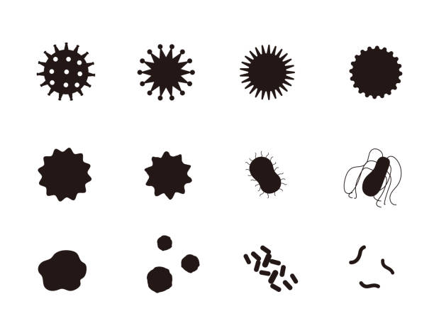 바이러스 실루엣 바리에이션 - virus stock illustrations