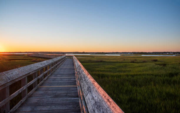 istock Pier on the Marsh 1278321269
