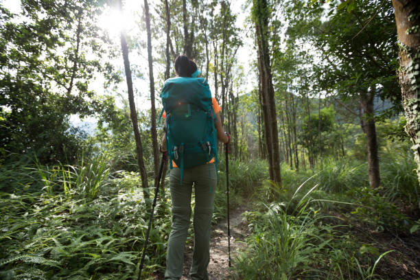 istock Woman backpacker hiking in summer sunrise forest mountain 1278322116