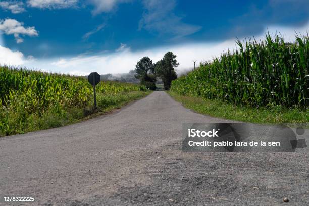 Manizales Landscape Stock Photo - Download Image Now - Agricultural Field, Backgrounds, Beauty In Nature