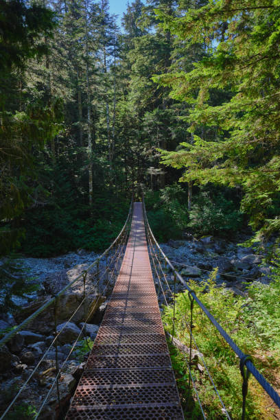 istock Suspension bridge on Bedwell Lakes trail, Strathcona Provincial Park, BC 1278324104