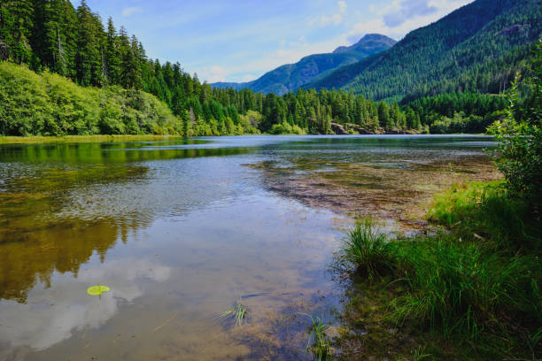 istock Crest Lake on Highway 28 through Strathcona Provincial Park, BC 1278324105