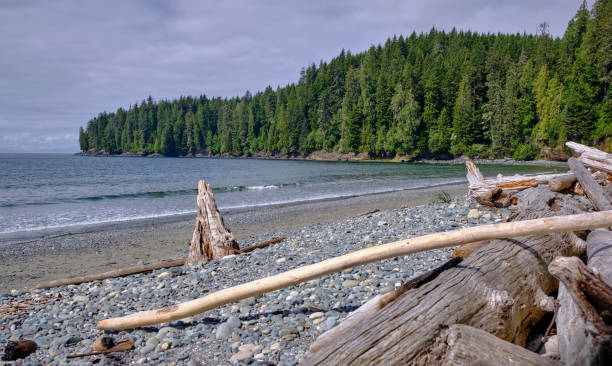 istock Wild West Coast Beach - Juan de Fuca Provincial Park, BC 1278324116