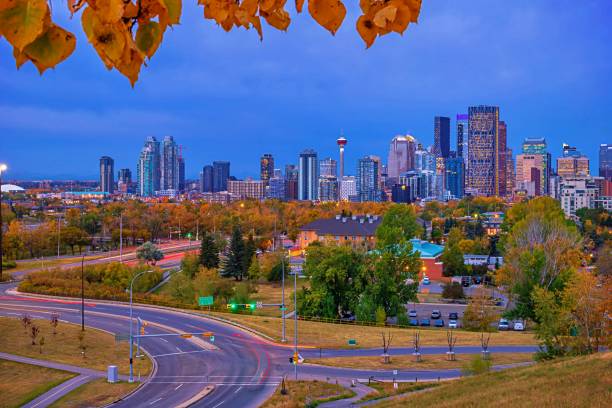 istock Fall Leaves Framing The Calgary Skyline 1278325591