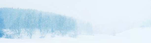 istock Snowy landscape panoramic cloudy view. Winter forest and ravine, snowfall, blue tones 1278327437