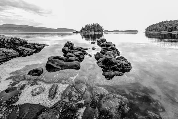 Black and white scenery on the coast of a small island in the Gulf Islands archipelago of British Columbia Black and white scenery on the coast of a small island in the Gulf Islands archipelago of British Columbia archipelago photos stock pictures, royalty-free photos & images