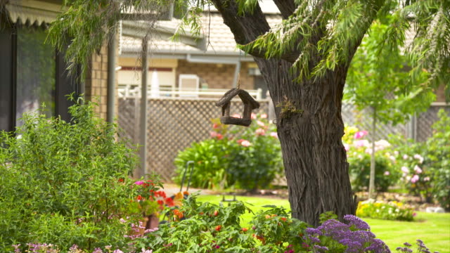A bird feeder blows in the wind as it hangs from the branch of a large tree in a beautifully landscaped garden with green grass growing in the sunlight, and flowerbeds full of flowers in bloom.