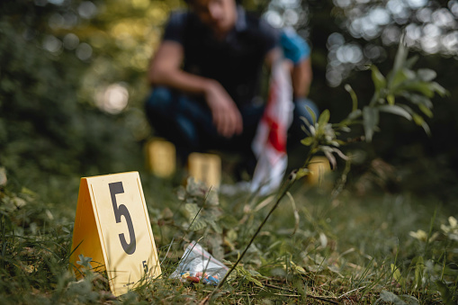 Focus on foreground yellow evidence number 5 marker identifying bag of pills found at crime scene in woodland area and police officer in background.