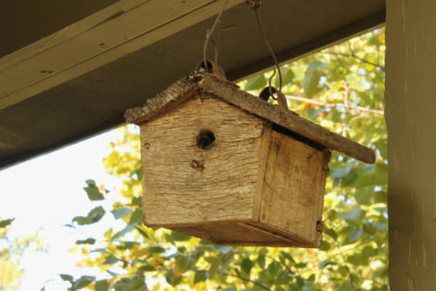 Wooden birdhouse hanging from the roolf