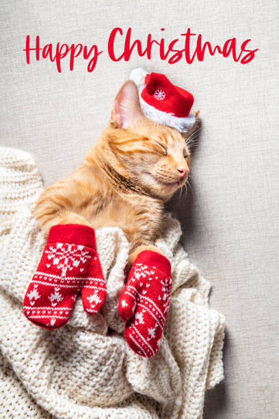 istock Cute ginger cat in xmas hat and mittens 1278330295