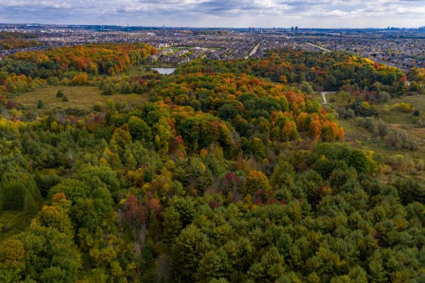istock Rutherford Road and Boyd Conservation Park in fall, Woodbridge, Vaughan, Canada 1278332800