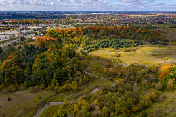 rutherford road y boyd conservation park en otoño, woodbridge, vaughan, canadá - outdoors footpath leaf toronto fotografías e imágenes de stock