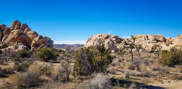 istock rock formations at joshua tree national park 1278333013