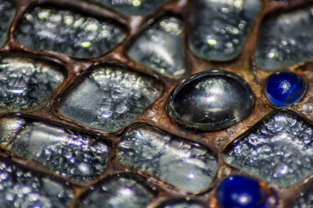 Pattern on the glass of the entrance door close up.