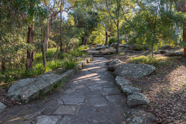 Sydney NSW Australia - June 5th 2020 - Ku-ring-gai Chase National Park on a sunny winter afternoon