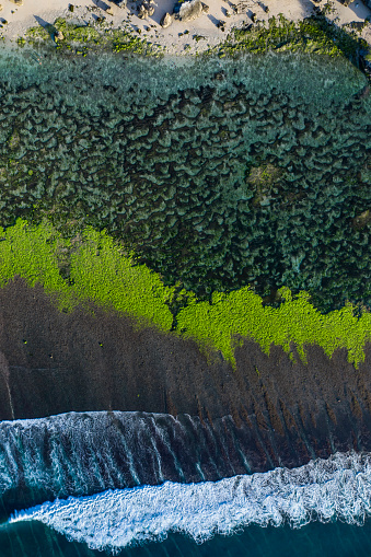 Taken directly from above by drone, abstract vertical view of a sea coastline lagoon composed by rocks and algae with ocean waves coming in. The scenery was taken in Bali Indonesia.